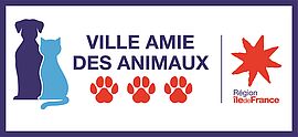 Agrandir l'image (fenêtre modale)