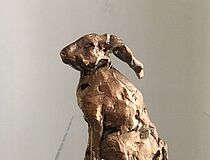 Agrandir l'image (fenêtre modale)