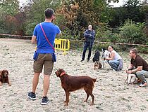 Agrandir l'image (fenêtre modale)