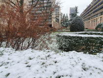 Agrandir l'image (fenêtre modale)