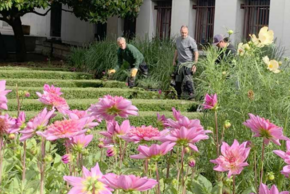 Au printemps, les parterres de la ville se parent de 10000 fleurs. Pour ce faire, les équipes municipales sont à pied d’œuvre. @E. Sallé