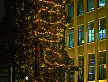 Illuminations de Noël 2025 – Crédits photo : Alain de Baudus - Agrandir l'image (fenêtre modale)