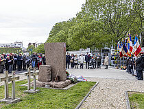 Agrandir l'image (fenêtre modale)