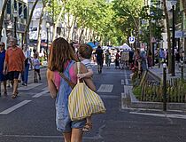 Agrandir l'image (fenêtre modale)