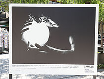 Exposition Etre beau sur la Grand'Place - Agrandir l'image (fenêtre modale)