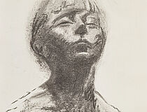 Agrandir l'image (fenêtre modale)