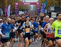Agrandir l'image (fenêtre modale)