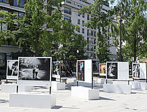Exposition Etre beau sur la Grand'Place - Agrandir l'image (fenêtre modale)