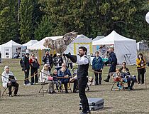 Agrandir l'image (fenêtre modale)